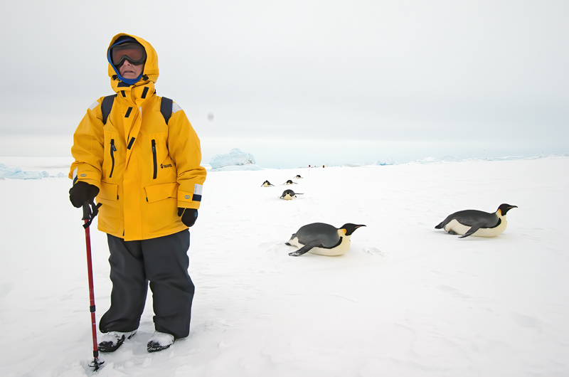 Emporer_Penguin_07_Antarctica_212